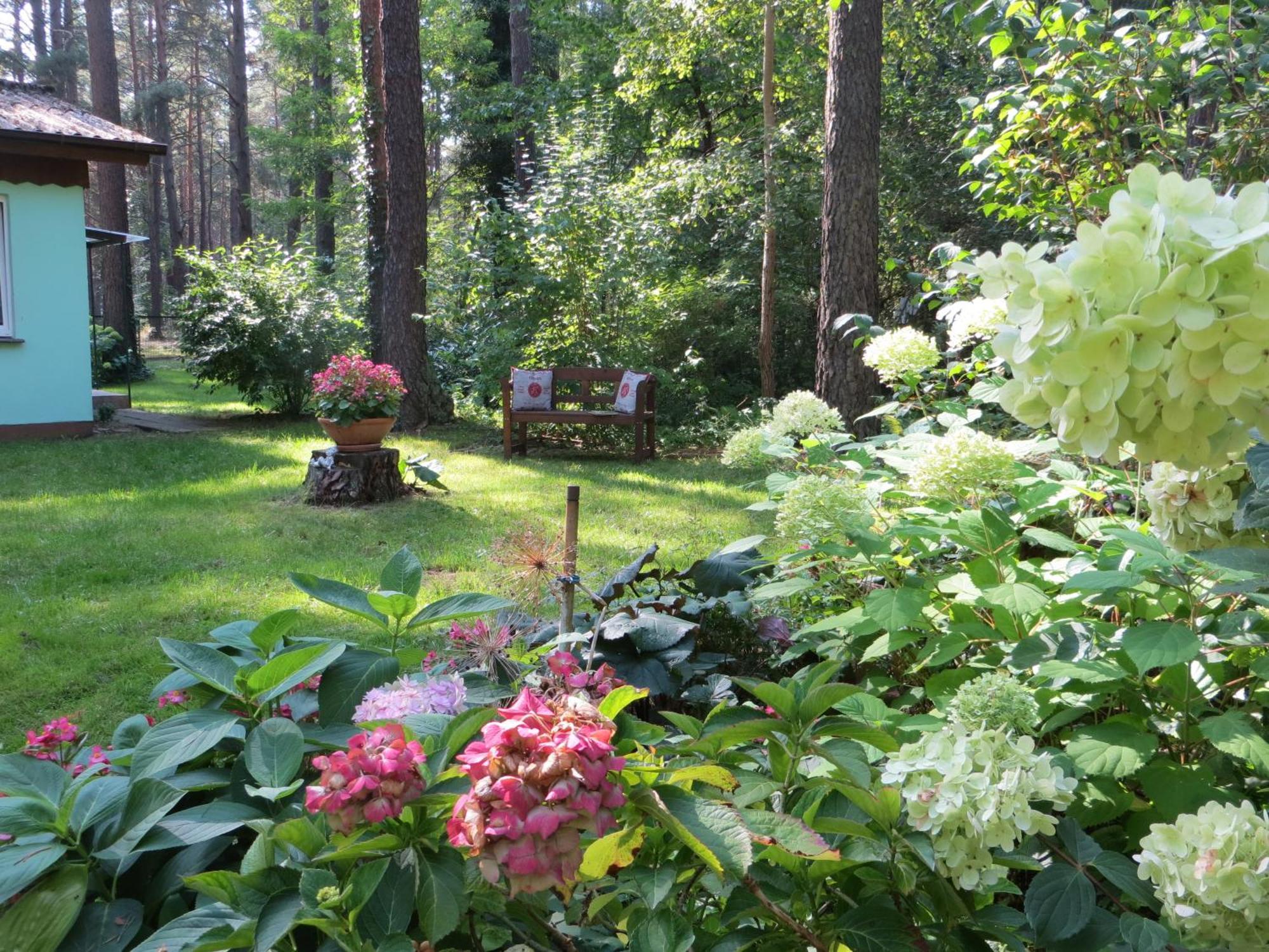 Kastavengrund - Ferienhaeuser Mit Kamin Lychen Exterior photo